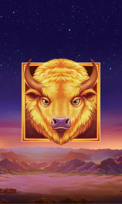 Buffalo's Sun 2